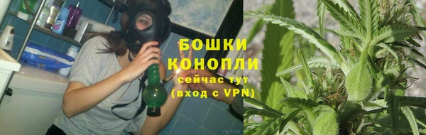 спайс Пересвет