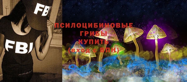 спиды Алексеевка