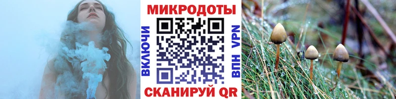 shop формула  Куйбышев  Псилоцибиновые грибы Psilocybe  как найти закладки 